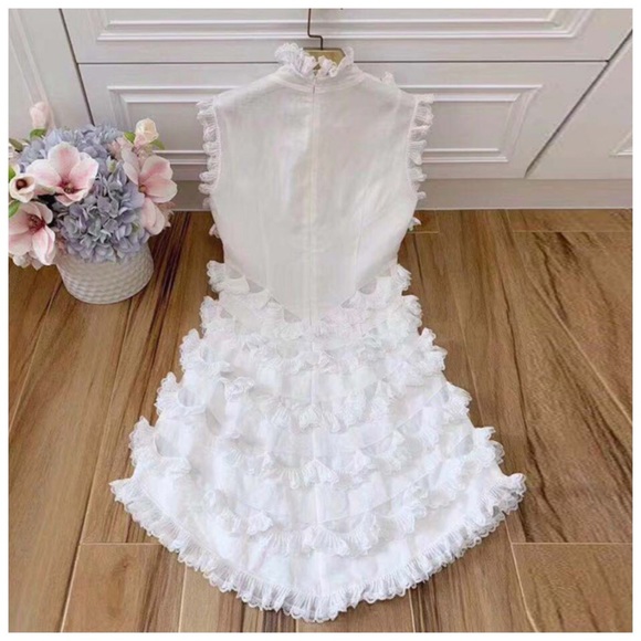 ❤️ The Winlynn Ruffle Hand Beaded Dress - Picture 3 of 8